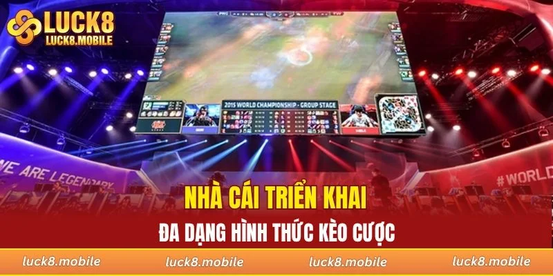 Nhà cái triển khai đa dạng hình thức kèo cược